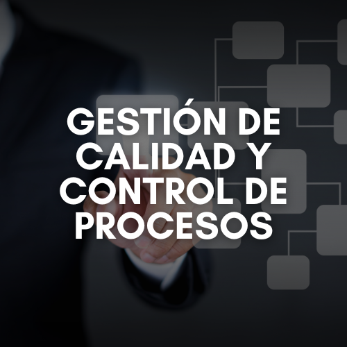 Especialistas en gestión de calidad y control de procesos de La Americana Soluciones optimizando la eficiencia empresarial.